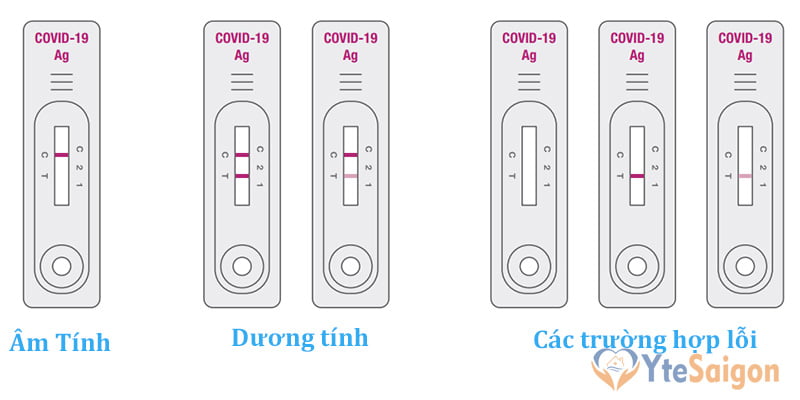 Đọc kết quả que test nhanh Covid-19 Genbody Hàn Quốc